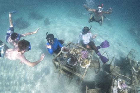 Coral Conservation at Plantation Island