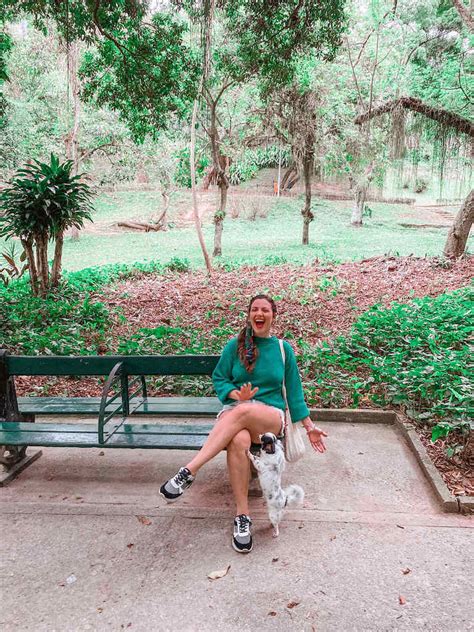 Parque Guinle Tudo Que Voc Precisa Saber Antes De Ir Viaje Na Web