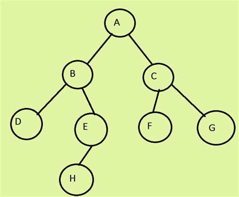 What is Tree Data Structure and Its Types