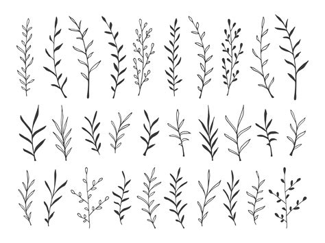 Hand Drawn Botanical Decorative Design Elements Leafy Botanical