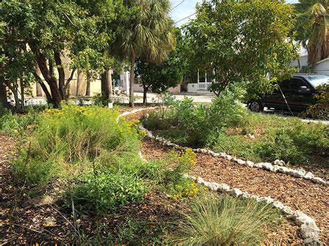 Educational Gardens Monroe County University Of Florida Institute