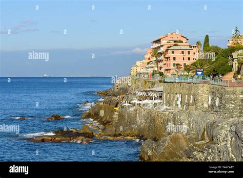 Arbol de medusa fotografías e imágenes de alta resolución Alamy