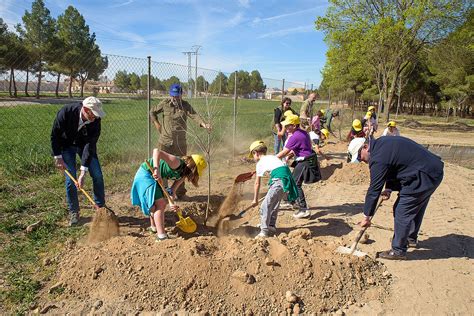 Argamasilla De Alba Celebra El D A Internacional De Los Bosques Con Una