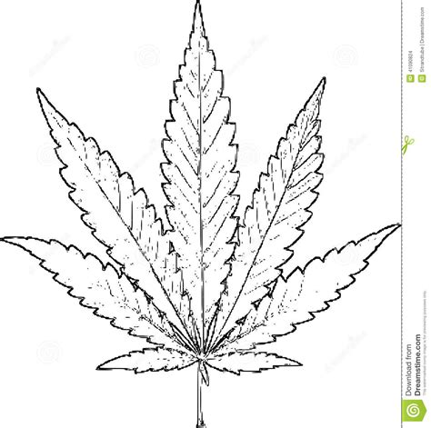 Simple Weed Leaf Drawing at GetDrawings | Free download