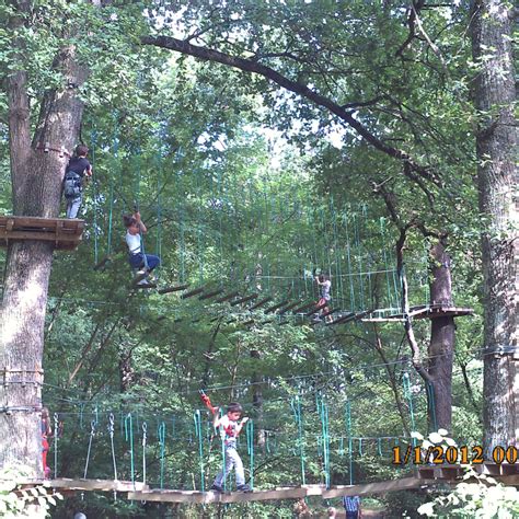 Lezoux Aventure Parc Accrobranche Auvergne Rh Ne Alpes Tourisme