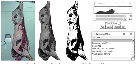 Figure 1 From Predicting Beef Carcass Fatness Using An Image Analysis