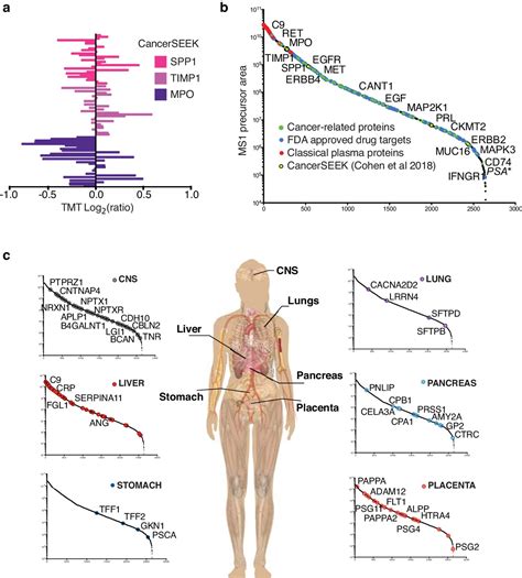 In Depth Human Plasma Proteome Analysis Captures Tissue Proteins And