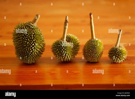 Durian./Durian season in Thailand Stock Photo - Alamy