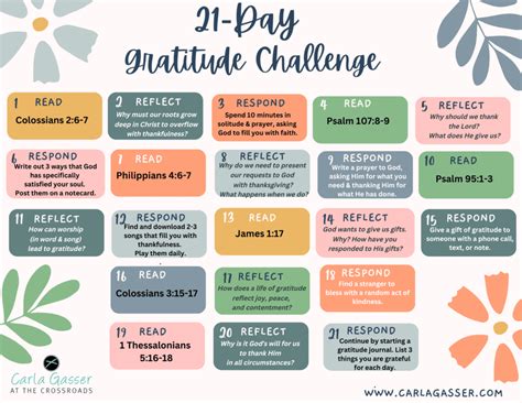 day gratitude challenge  printable