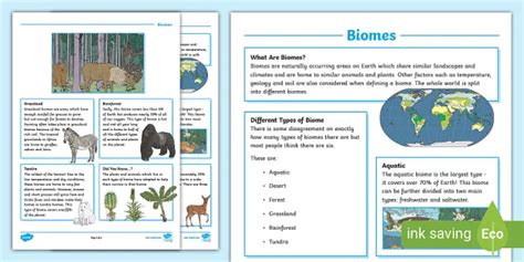 Biomes Match And Draw Activity Teacher Made Worksheets Library