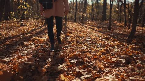 Alone Brunette Woman Is Strolling In Forest In Sunny Fall Day Stock Footage