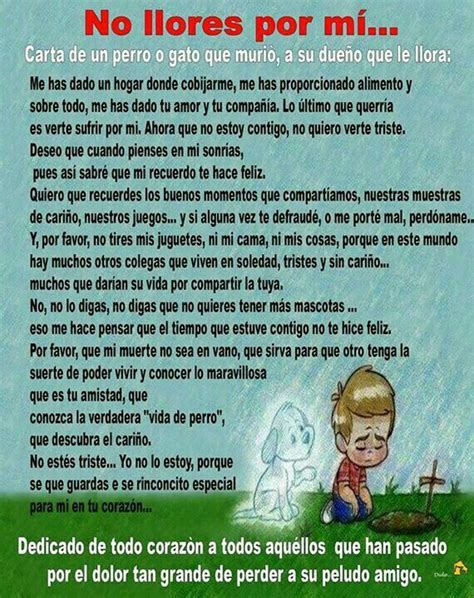 No llores por mí Carta de un perro o gato a su dueño Cuando muere un