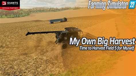 My Own First Big Harvest Estancia Sao Carlos Farming Simulator