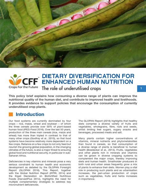 Dietary Diversification For Enhanced Human Nutrition Cff Pdf