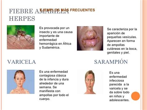 Las Enfermedades Infecciosas