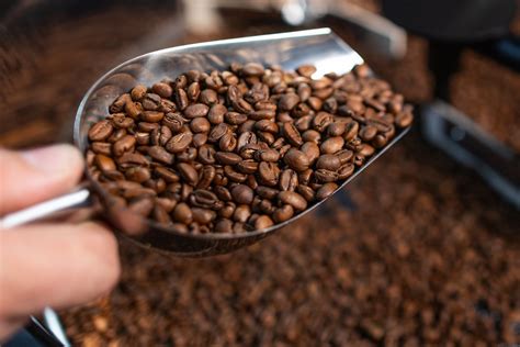 Pre O Do Caf Robusta No Brasil Recua Ap S Bater Recorde