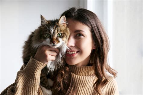 Perch Fa Bene Tenere Un Gatto In Casa