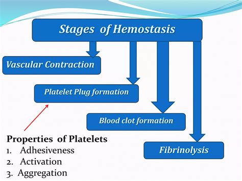 Haemostasis Anticoagulant Bleeding Disorders Ppt