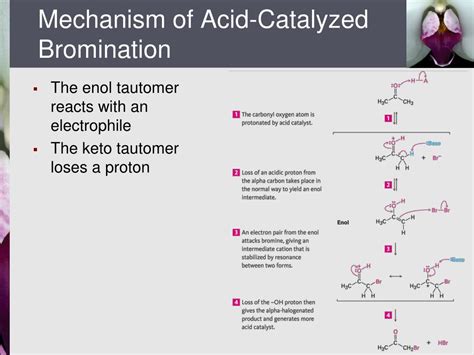 Ppt Chapter 22 Carbonyl Alpha Substitution Reactions Powerpoint