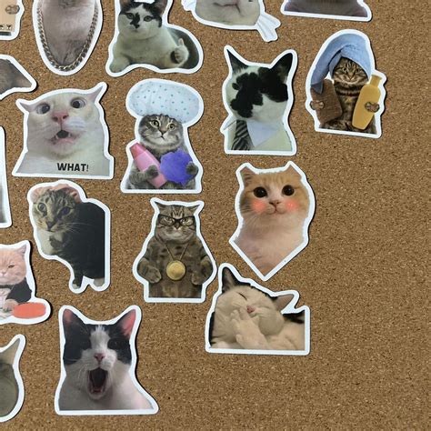 Funny Cat Meme stickers - 40 pack Stickers average... - Depop