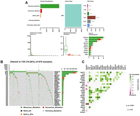 ADRB1 Was Identified As A Potential Biomarker For Breast Cancer By The