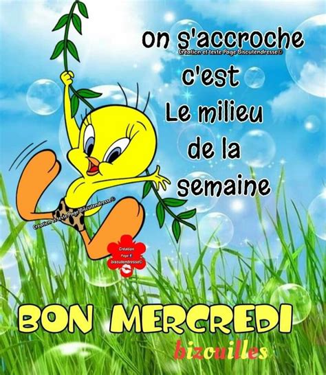 Pingl Par Marie Rose Derom Sur Bonjour Bon Mercredi Humour Bon