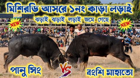 মিশিরডি কাড়া লড়াই 2024 Mishirdhi Kara Lorai পানু সিং Vs বংশি