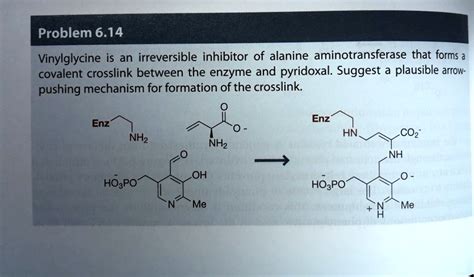 SOLVED: Problem 6.14: Vinylglycine is an irreversible inhibitor of ...