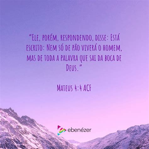 Mateus 4 4 Explicação - Nem só de pão viverá o homem - Mateus 4:4