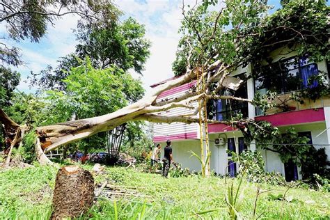 Puting Beliung Kembali Melanda Lampung Belasan Rumah Rusak Kompas Id