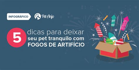 Dicas Para Deixar Seu Pet Tranquilo Fogos De Artif Cio