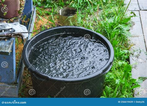 A Blue Barrel for Collecting Rainwater. Collecting Rainwater in Plastic ...