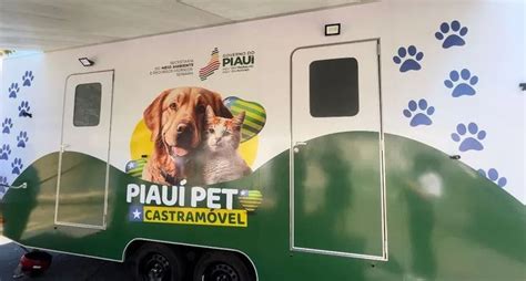 Castram Vel Mais De Mil Animais Foram Castrados Portalclubenews