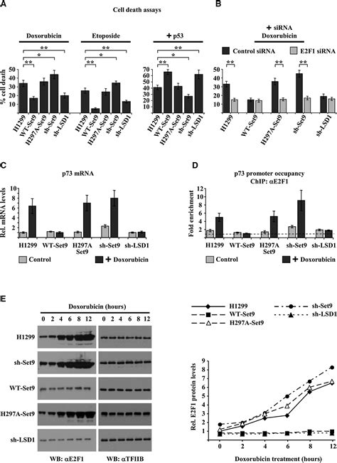 Lysine Methylation Regulates E2F1-Induced Cell Death: Molecular Cell 