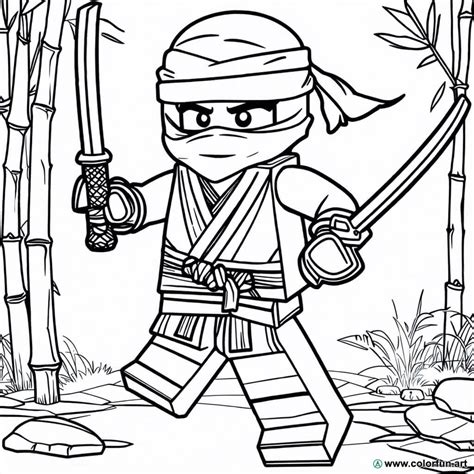 Disegno Da Colorare Di Ninjago Con Nya Scarica O Stampa Gratuitamente