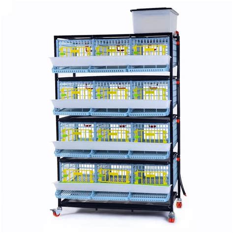 Hatching Time Quail Cage - 4 Layer (Power-Washable, Durable, ABS