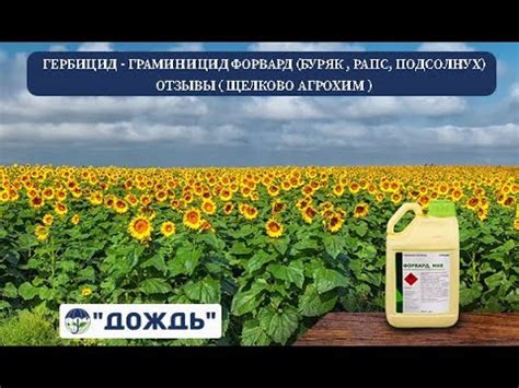 Гербицид - Граминицид Форвард( буряк , рапс, подсолнух ) . Отзывы ...