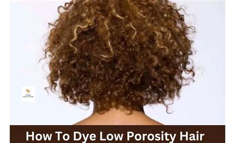 How To Dye Low Porosity Hair Expert Tips And Techniques In 2024