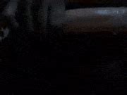 Anabella BlackClassicCottonmouth Max Mb Porn Pic