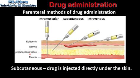 Basics Of Medication Administration