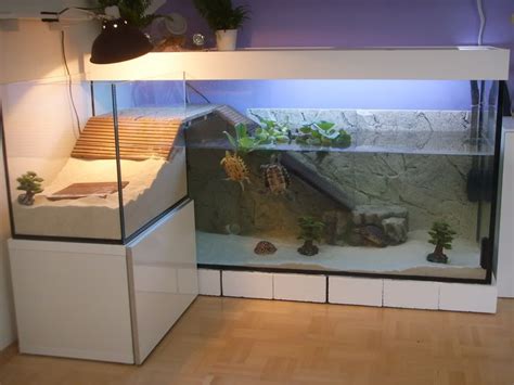 Photos Des Aqua Avec Bac De Ponte Page 6 Aquarium Pour Tortue