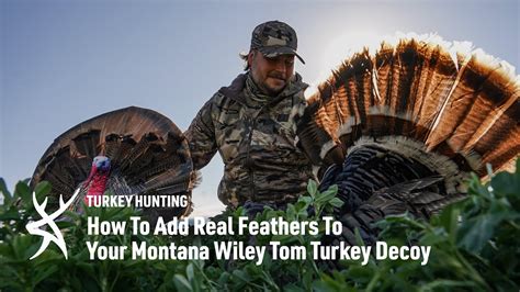 Montana Wiley Tom Turkey Decoy How To Add Real Feathers YouTube