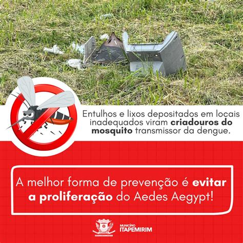 Todos Contra A Dengue Fique Atento E Proteja Se Itapemirim Es