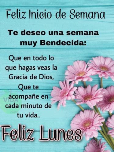 Bendiciones Feliz Lunes Meme Bendiciones Feliz Lunes Feliz Semana