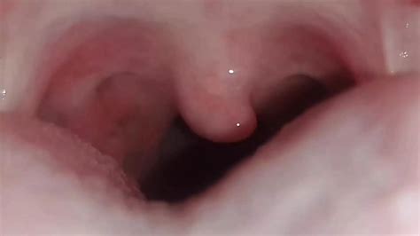 Free Egyptian Pussy Porn Videos Xhamster