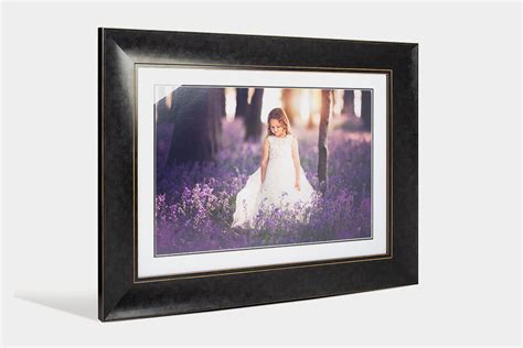 Winchester | Traditional Frame | Loxley Colour