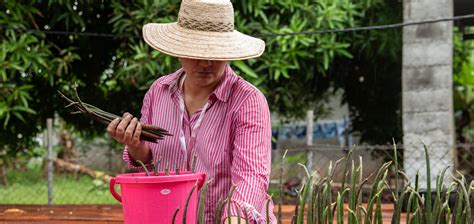 Panama | Climate Promise