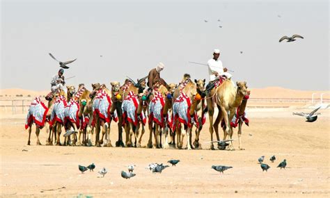 UAE Camel festival ends