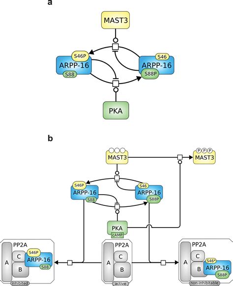 Figures And Data In Reciprocal Regulation Of Arpp By Pka And Mast