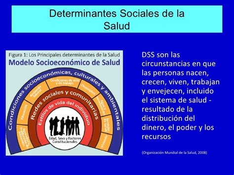 Determinantes Sociales De La Salud